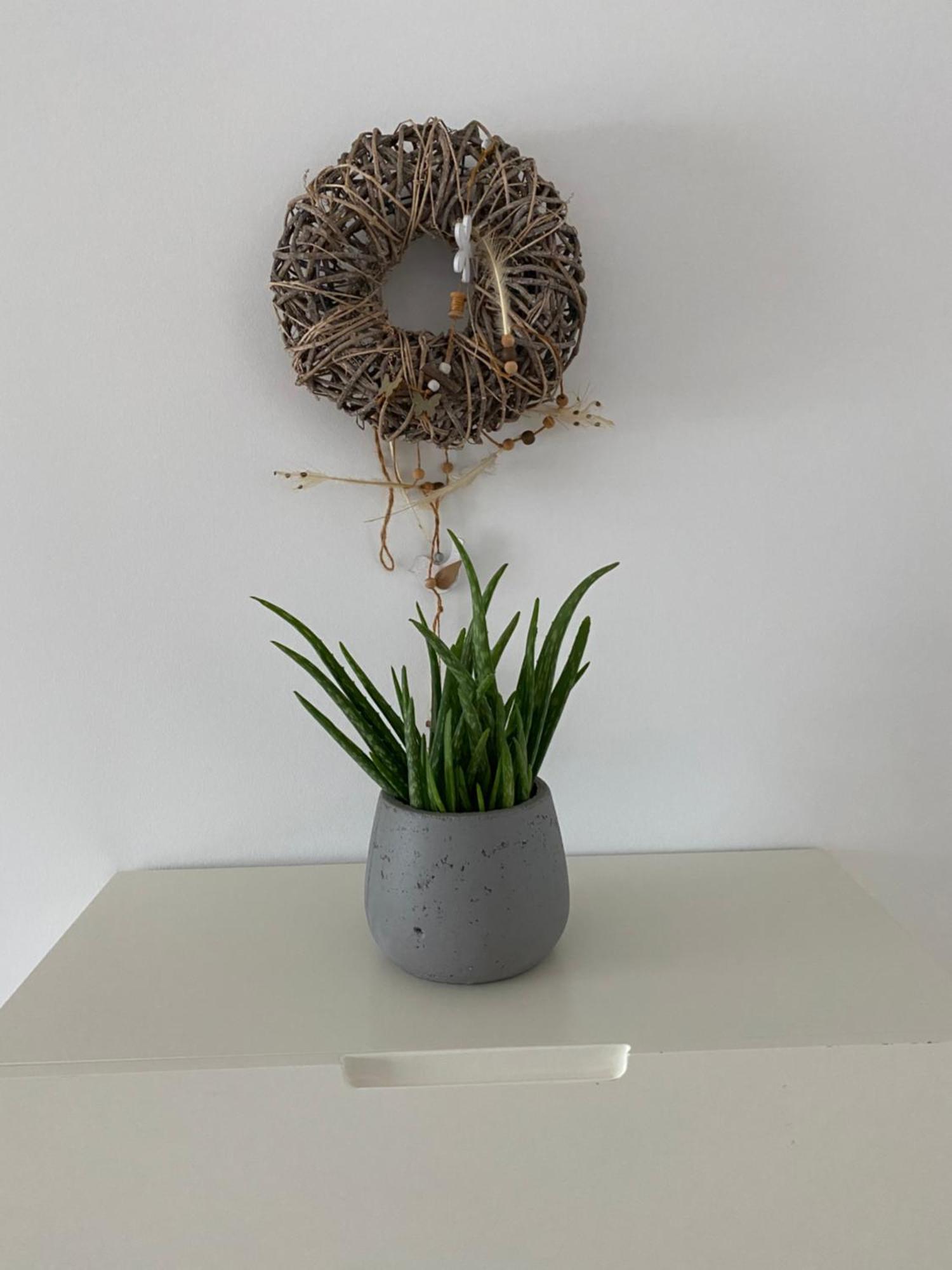 Modernes City-appartement *